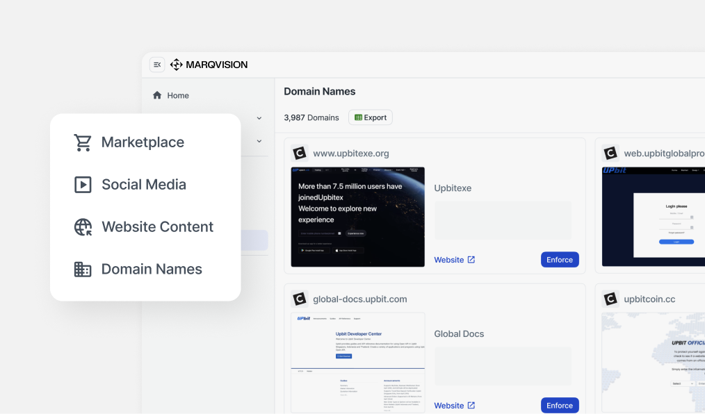 Domain Management Dashboard Interface